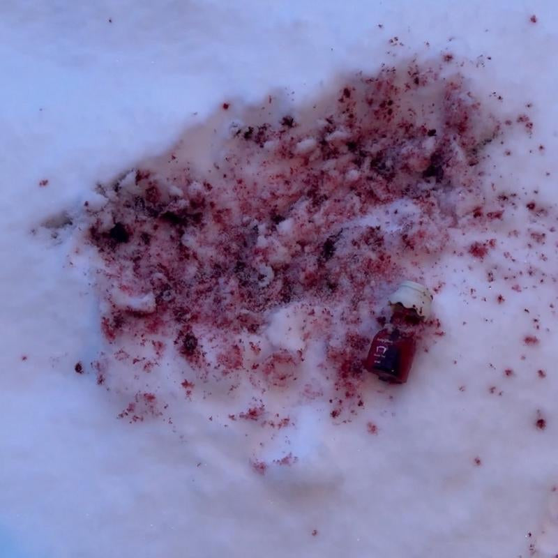 Bloody Lip Tint and Stain OG - Lightweight